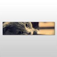 Technopa Kedi 270x90 cm Kanvas Tablo