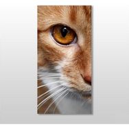 Technopa Kedi 30x50 cm Kanvas Tablo