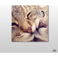 Technopa Kedi Çift 200x200 cm Kanvas Tablo