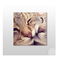 Technopa Kedi Çift 25x25 cm Kanvas Tablo