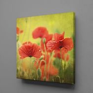 Technopa Kırmızı Çiçekler 40x40 cm Kanvas Tablo