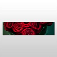 Technopa Kırmızı Gül 240x80 cm Kanvas Tablo