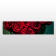 Technopa Kırmızı Gül 300x100 cm Kanvas Tablo