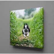 Technopa Köpek 110x165 cm Kanvas Tablo