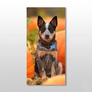 Technopa Köpek 80x120 cm Kanvas Tablo