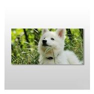 Technopa Köpek Beyaz 140x70 cm Kanvas Tablo
