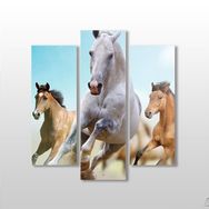 Technopa Koşan Atlar 75x80 cm Kanvas Tablo