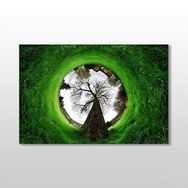 Technopa Küre Çimenlik 45x30 cm Kanvas Tablo