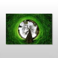 Technopa Küre Çimenlik 60x40 cm Kanvas Tablo
