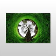 Technopa Küre Çimenlik 90x60 cm Kanvas Tablo