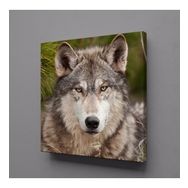 Technopa Kurt 60x60 cm Kanvas Tablo