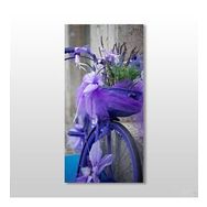 Technopa Mor Bisiklet 40x60 cm Kanvas Tablo