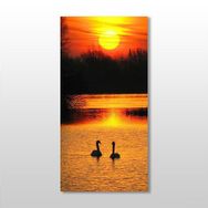 Technopa Ördek ve Gün Batımı 60x90 cm Kanvas Tablo