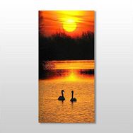 Technopa Ördek ve Gün Batımı 80x120 cm Kanvas Tablo