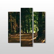 Technopa Orman 75x80 cm Kanvas Tablo