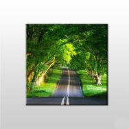 Technopa Orman Içindeki Yol 100x100 cm Kanvas Tablo