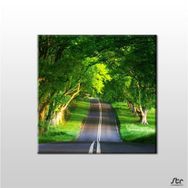 Technopa Orman Içindeki Yol 150x150 cm Kanvas Tablo