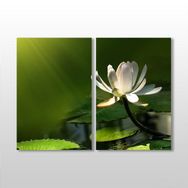 Technopa Papatya 50x40 cm Kanvas Tablo