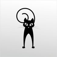 Technopa Şaşkın Kedi 20 cm Folyo Duvar Stickerı