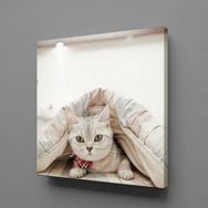 Technopa Sevimli Kedi 60x60 cm Kanvas Tablo