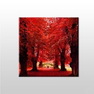 Technopa Sonbahar Ağaçlar 50x50 cm Kanvas Tablo