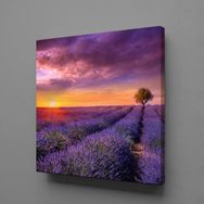 Technopa Sümbül Tarlası 30x30 cm Kanvas Tablo