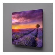 Technopa Sümbül Tarlası 60x60 cm Kanvas Tablo