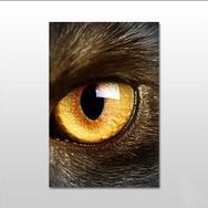 Technopa Tek Göz 60x30 cm Kanvas Tablo