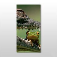 Technopa Timsah ve Kurbağa 50x75 cm Kanvas Tablo