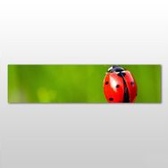 Technopa Uğur Böceği 210x70 cm Kanvas Tablo