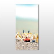 Technopa Yengeç 20x30 cm Kanvas Tablo