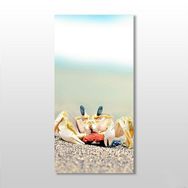 Technopa Yengeç 60x90 cm Kanvas Tablo