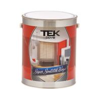 Tek 0,75 lt Sentetik Boya