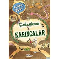 Teleskop Popüler Bilim - Çalışkan Karıncalar - Bu Nasıl Olabilir?