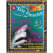 Teleskop Popüler Bilim - Köpek Balıklarının Dişleri Dökülür - Bunu Bilmiyordum - Köpek Balıklarına Dair Harika Bilgiler!