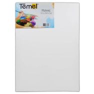 Temel 50x70 cm Tuval
