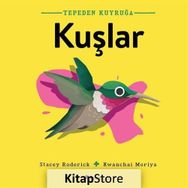 Tepeden Kuyruğa Kuşlar - Stacey Roderick