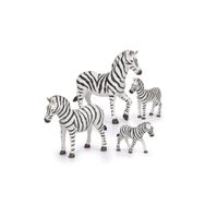 Terra Zebra Ailesi