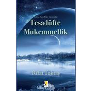 Tesadüfte Mükemmellik - Rıfat Toktaş