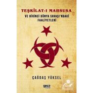 Teşkilat-ı Mahsusa ve Birinci Dünya Savaşı'ndaki Faaliyetleri - Çağdaş Yüksel