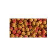 Tetra Cichlid Colour Mini Granules 100 gr Balık Yemi