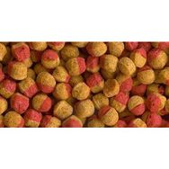 Tetra Cichlid Colour Mini Granules 500 gr Balık Yemi