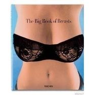 THE BIG BOOK OF BREASTS - DIAN HANSON