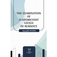 The Examination of Academicians Levels of Burnout Ayşegül Yetkin