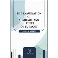 The Examination of Academicians Levels of Burnout Ayşegül Yetkin