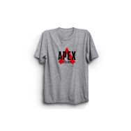 The Fame Logo Game Oyun Gri Kadın T-shirt