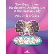 The Magnificent Biochemical Architecture Of The Human Body - İnci Özden