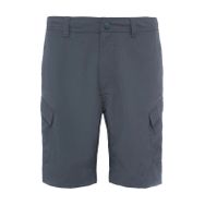 The North Face NF00CF720C51 M Horizon Cargo Shorts Eu Gri Erkek Outdoor Şort