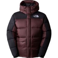 The North Face NF0A4QYXLOS1 Hmlyn Down Kahverengi Erkek Parka Ceket