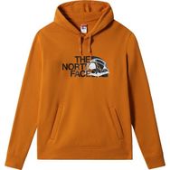 The North Face NF0A7R3C Graphic Half Dome Sarı Hoodie Erkek Sweatshirt